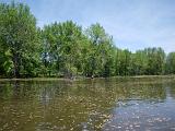 Winooski 03 : Vermont Canoe Spring
